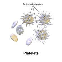 low platelets